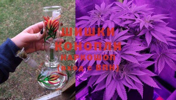 молекула духа Балахна