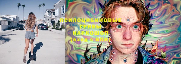 молекула духа Балахна