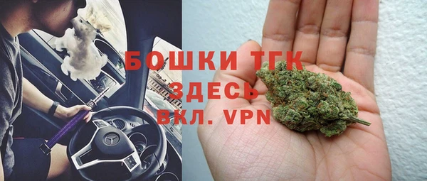 молекула духа Балахна