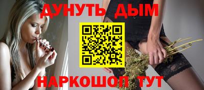 МДПВ Дубна