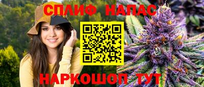 молекула духа Донской