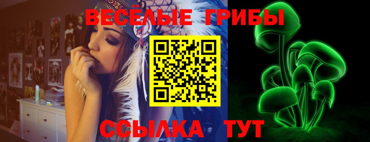купить   Вход с VPN  Лыткарино  Псилоцибиновые грибы Psilocybine cubensis  Галлюциногенные грибы мухоморы 